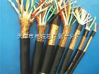 DJVVP3計算機(jī)控制電纜全國送貨，天津市電纜總廠第一分廠專業(yè)之選